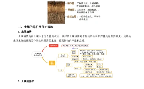 专题20土壤热点问题描述的方法技巧（解析版）_2025年新高考资料_二轮复习_01高考语文等多个文件_2025年高考地理二轮热点题型归纳与变式演练（新高考通用）