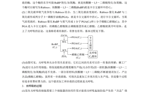 2023年高考生物一轮复习（全国版）第3单元解惑练2　光呼吸_通用版（老高考）复习资料_2023年复习资料_一轮复习_2023年高考生物一轮复习讲义+课件（全国版）