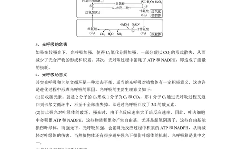2023年高考生物一轮复习（全国版）第3单元解惑练2　光呼吸_通用版（老高考）复习资料_2023年复习资料_一轮复习_2023年高考生物一轮复习讲义+课件（全国版）
