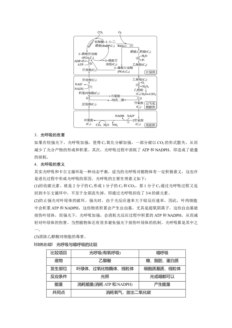 2023年高考生物一轮复习（全国版）第3单元解惑练2　光呼吸_通用版（老高考）复习资料_2023年复习资料_一轮复习_2023年高考生物一轮复习讲义+课件（全国版）