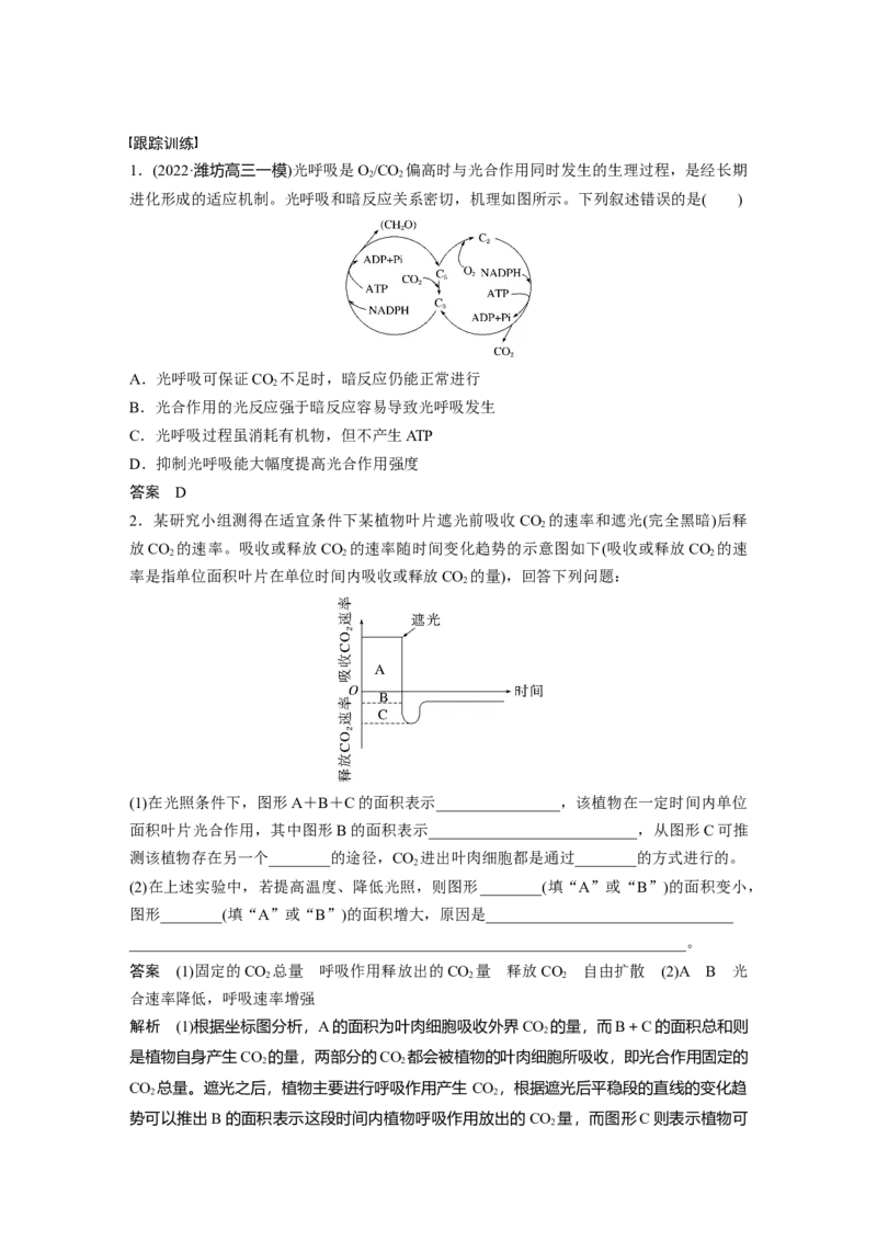 2023年高考生物一轮复习（全国版）第3单元解惑练2　光呼吸_通用版（老高考）复习资料_2023年复习资料_一轮复习_2023年高考生物一轮复习讲义+课件（全国版）