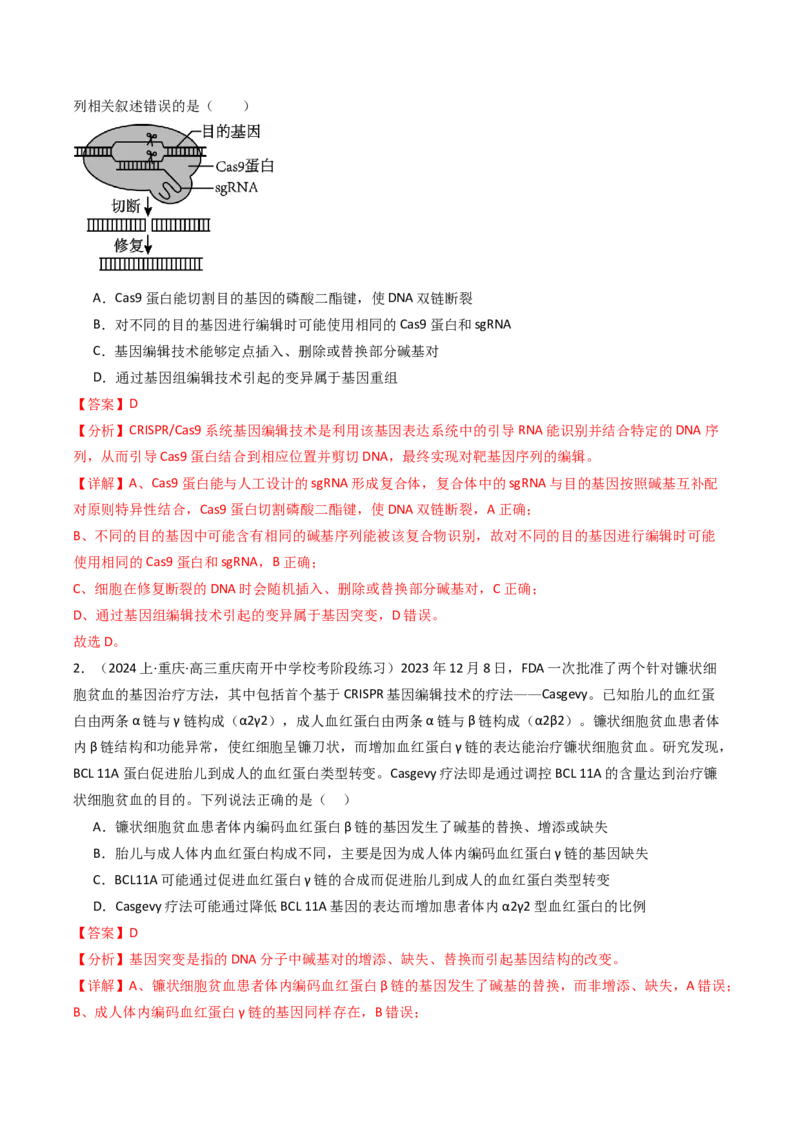 热点04遗传前沿科技（解析版）_2024年新高考资料_3.2024专项复习_2024年高考生物热点&middot;重点&middot;难点专练（新高考专用）