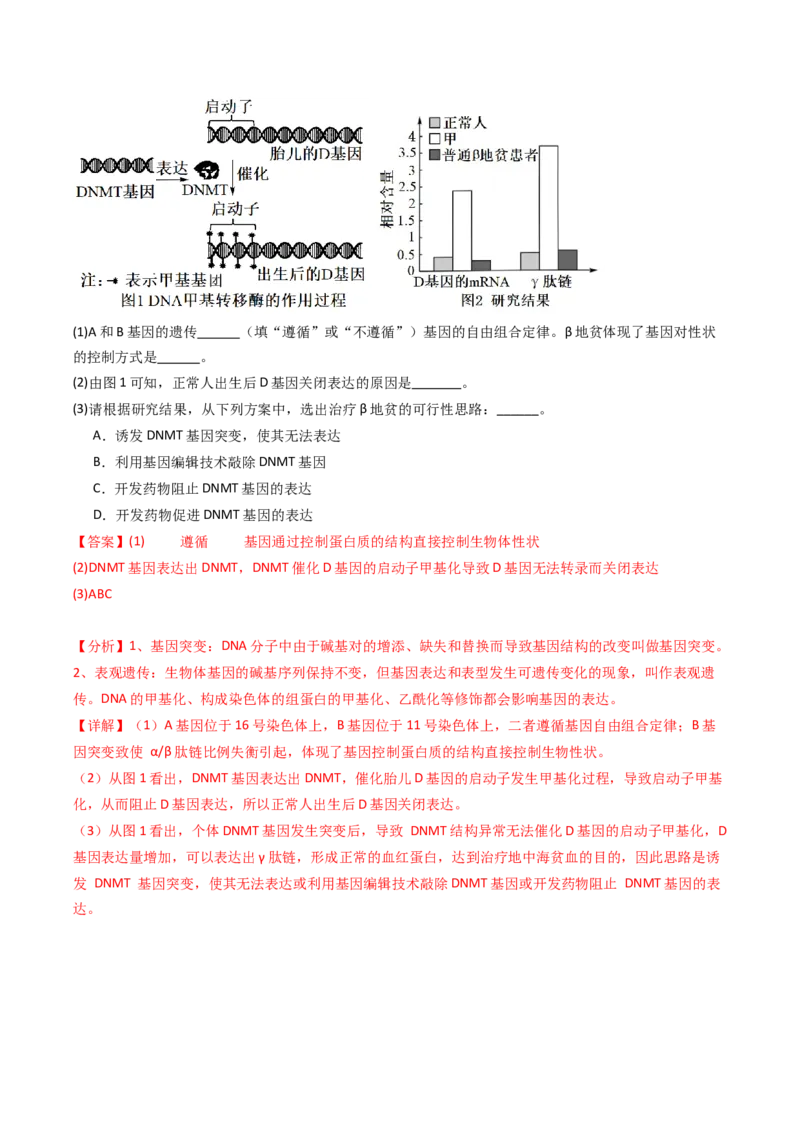 热点04遗传前沿科技（解析版）_2024年新高考资料_3.2024专项复习_2024年高考生物热点&middot;重点&middot;难点专练（新高考专用）