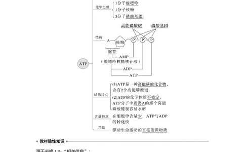 2023年高考生物一轮复习（全国版）第3单元第2课时　细胞的能量&ldquo;通货&rdquo;&mdash;&mdash;ATP_通用版（老高考）复习资料_2023年复习资料_一轮复习_2023年高考生物一轮复习讲义+课件（全国版）