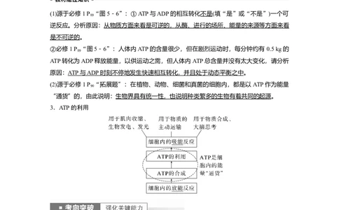 2023年高考生物一轮复习（全国版）第3单元第2课时　细胞的能量&ldquo;通货&rdquo;&mdash;&mdash;ATP_通用版（老高考）复习资料_2023年复习资料_一轮复习_2023年高考生物一轮复习讲义+课件（全国版）