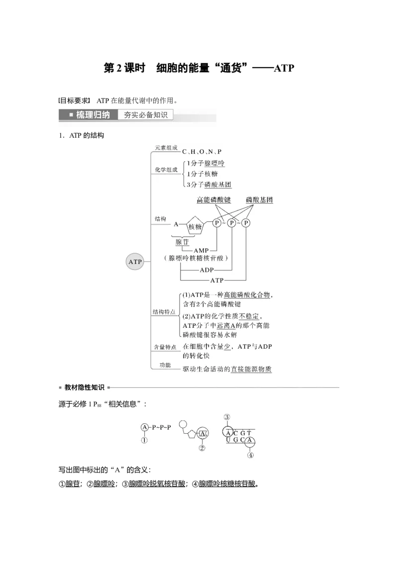 2023年高考生物一轮复习（全国版）第3单元第2课时　细胞的能量&ldquo;通货&rdquo;&mdash;&mdash;ATP_通用版（老高考）复习资料_2023年复习资料_一轮复习_2023年高考生物一轮复习讲义+课件（全国版）
