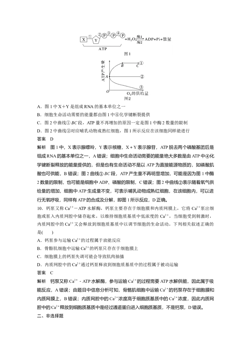 2023年高考生物一轮复习（全国版）第3单元第2课时　细胞的能量&ldquo;通货&rdquo;&mdash;&mdash;ATP_通用版（老高考）复习资料_2023年复习资料_一轮复习_2023年高考生物一轮复习讲义+课件（全国版）