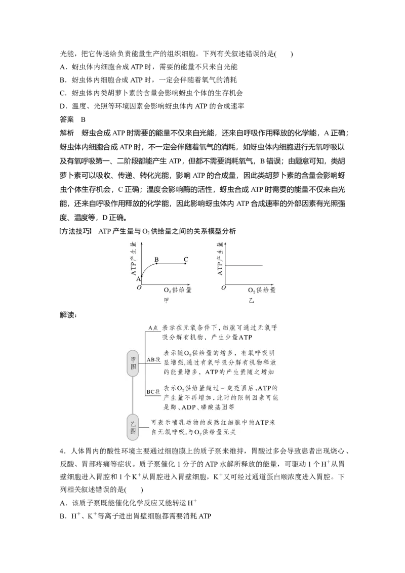 2023年高考生物一轮复习（全国版）第3单元第2课时　细胞的能量&ldquo;通货&rdquo;&mdash;&mdash;ATP_通用版（老高考）复习资料_2023年复习资料_一轮复习_2023年高考生物一轮复习讲义+课件（全国版）