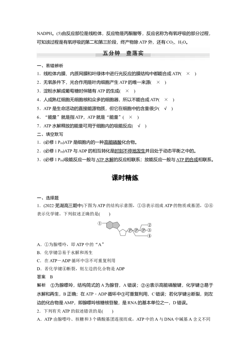 2023年高考生物一轮复习（全国版）第3单元第2课时　细胞的能量&ldquo;通货&rdquo;&mdash;&mdash;ATP_通用版（老高考）复习资料_2023年复习资料_一轮复习_2023年高考生物一轮复习讲义+课件（全国版）