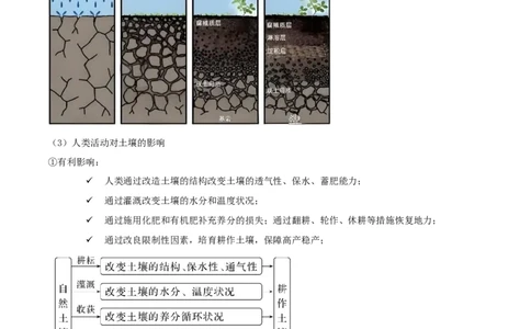 专题06地理环境的整体性和差异性（原卷版）_2025年新高考资料_二轮复习_2025年高三地理高考二轮复习专项提升（新高考通用）3405802_重点&middot;难点&middot;热点专练（分地区）_黑吉辽专用