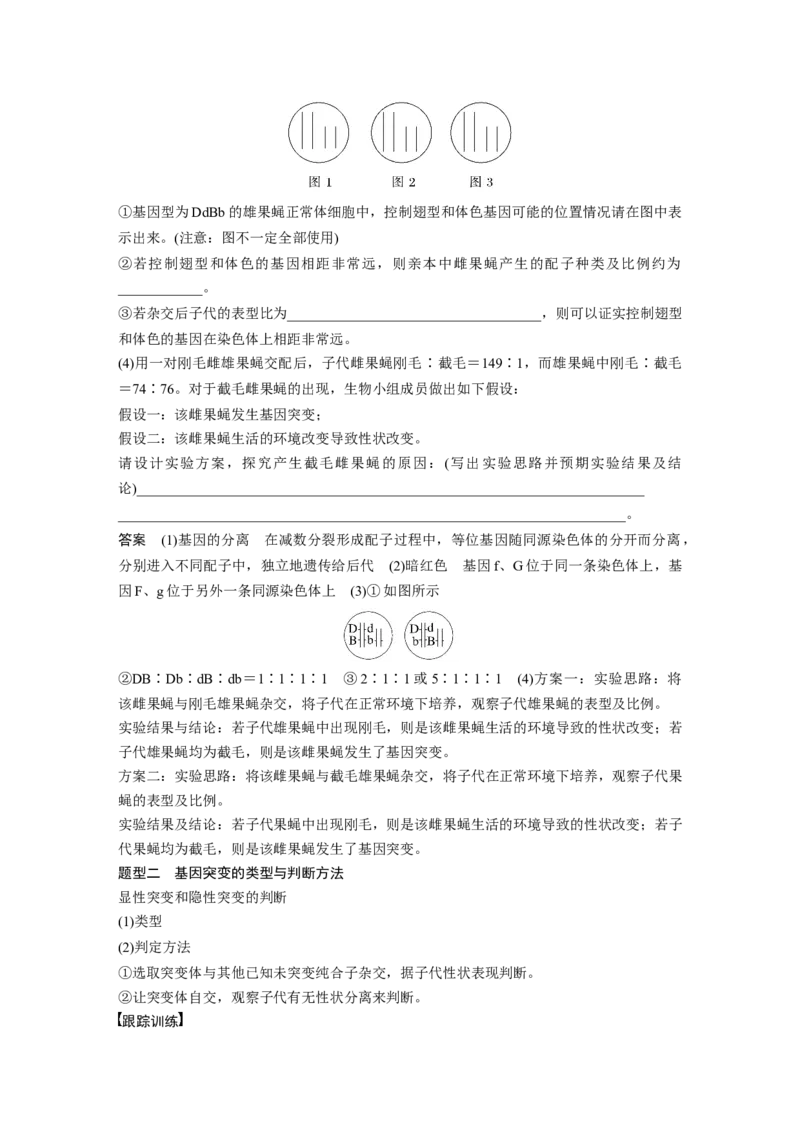 2023年高考生物一轮复习（新人教新高考）第7单元微专题六　利用&ldquo;假说&mdash;演绎法&rdquo;解决生物变异实验探究题_新高考复习资料_2023年新高考复习资料_一轮复习_2023年新高考大一轮复习讲义