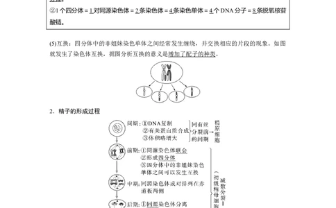 2023年高考生物一轮复习（新人教新高考）第4单元第3课时　减数分裂和受精作用的过程分析_新高考复习资料_2023年新高考复习资料_一轮复习_2023年新高考大一轮复习讲义