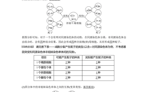 2023年高考生物一轮复习（新人教新高考）第4单元第3课时　减数分裂和受精作用的过程分析_新高考复习资料_2023年新高考复习资料_一轮复习_2023年新高考大一轮复习讲义