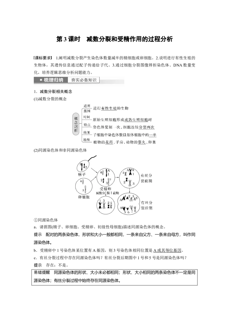 2023年高考生物一轮复习（新人教新高考）第4单元第3课时　减数分裂和受精作用的过程分析_新高考复习资料_2023年新高考复习资料_一轮复习_2023年新高考大一轮复习讲义