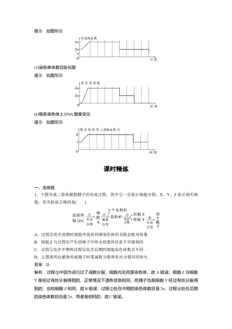 2023年高考生物一轮复习（新人教新高考）第4单元第3课时　减数分裂和受精作用的过程分析_新高考复习资料_2023年新高考复习资料_一轮复习_2023年新高考大一轮复习讲义