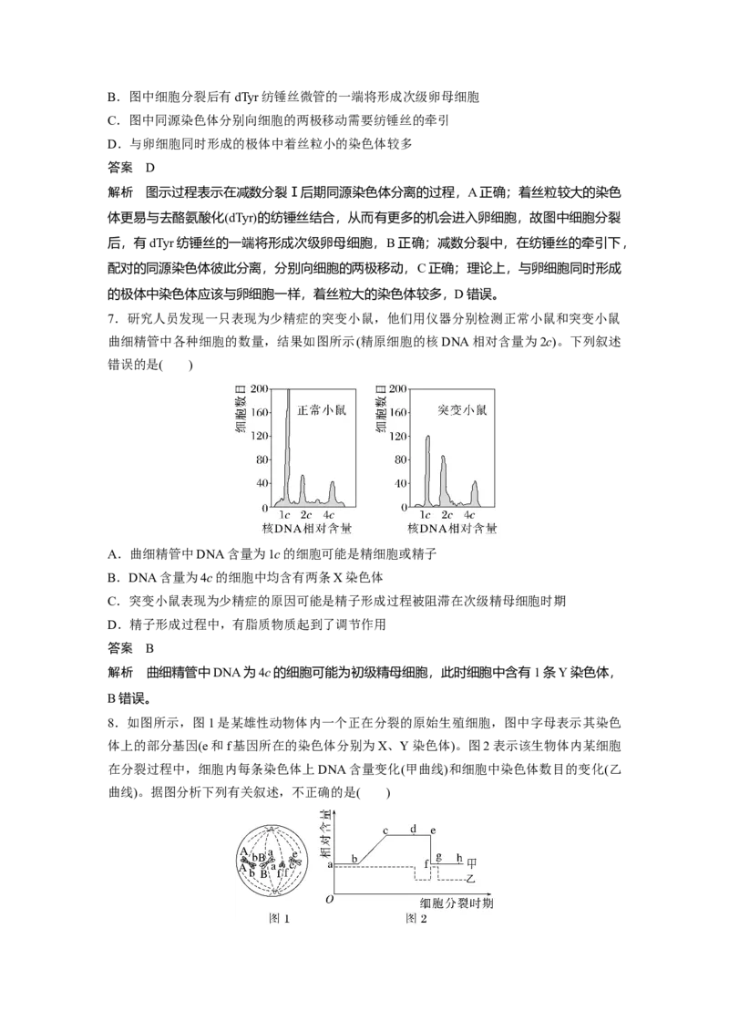 2023年高考生物一轮复习（新人教新高考）第4单元第3课时　减数分裂和受精作用的过程分析_新高考复习资料_2023年新高考复习资料_一轮复习_2023年新高考大一轮复习讲义