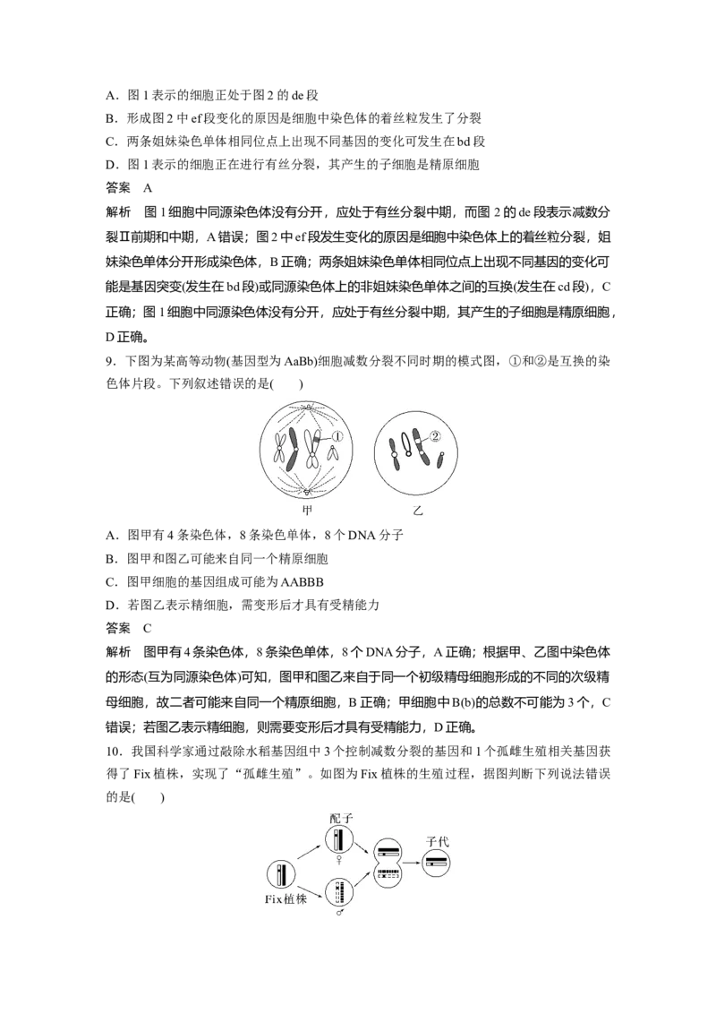 2023年高考生物一轮复习（新人教新高考）第4单元第3课时　减数分裂和受精作用的过程分析_新高考复习资料_2023年新高考复习资料_一轮复习_2023年新高考大一轮复习讲义