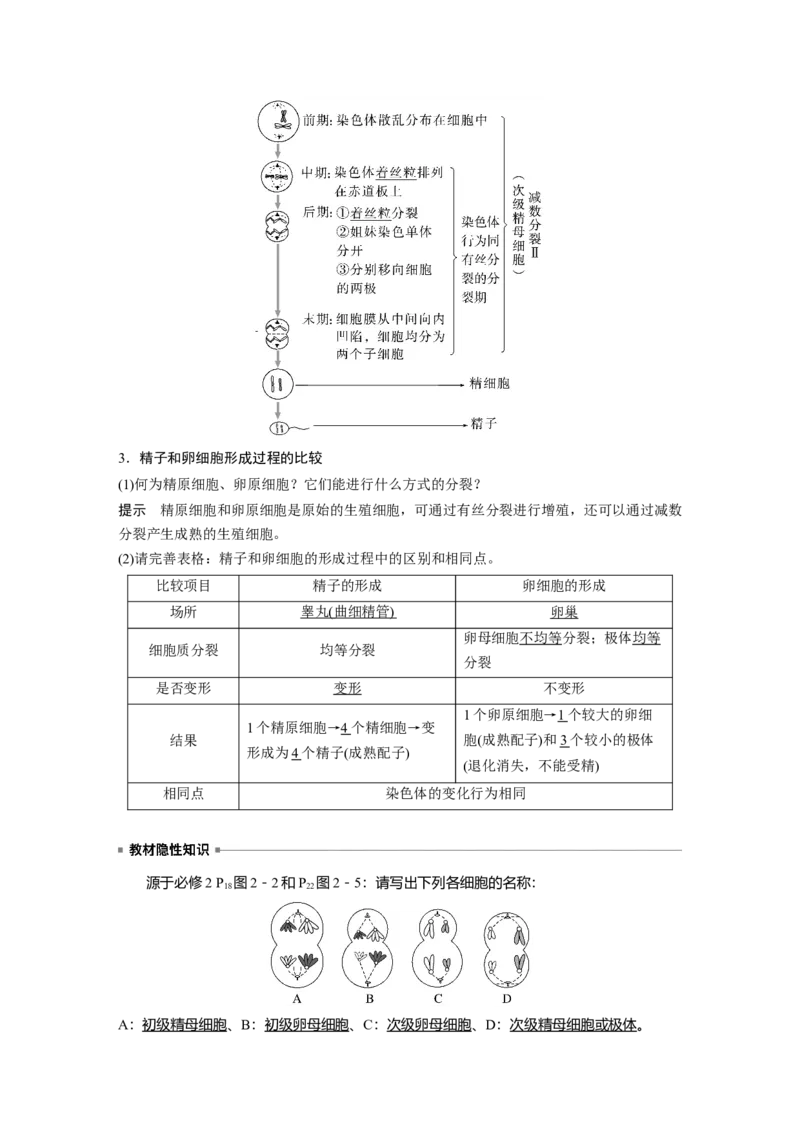 2023年高考生物一轮复习（新人教新高考）第4单元第3课时　减数分裂和受精作用的过程分析_新高考复习资料_2023年新高考复习资料_一轮复习_2023年新高考大一轮复习讲义