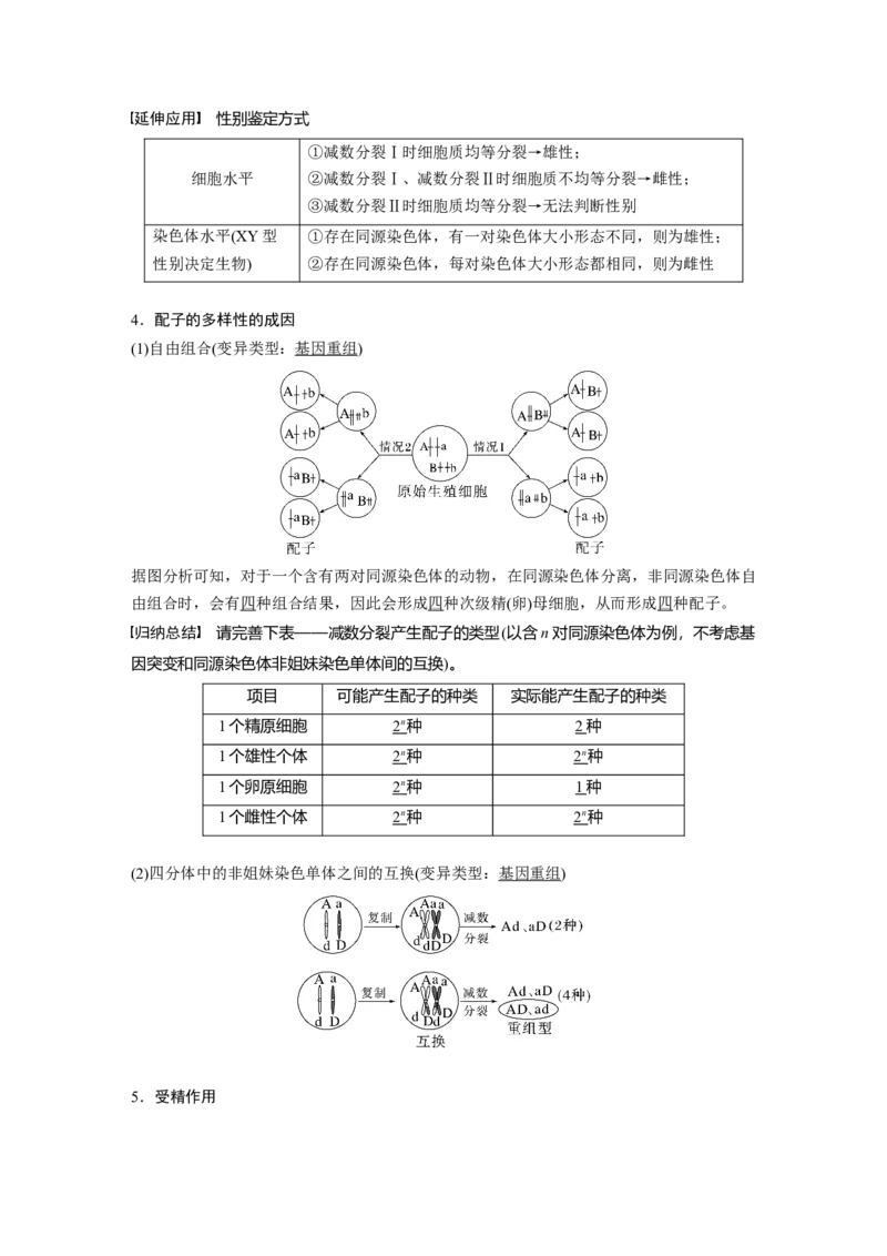 2023年高考生物一轮复习（新人教新高考）第4单元第3课时　减数分裂和受精作用的过程分析_新高考复习资料_2023年新高考复习资料_一轮复习_2023年新高考大一轮复习讲义