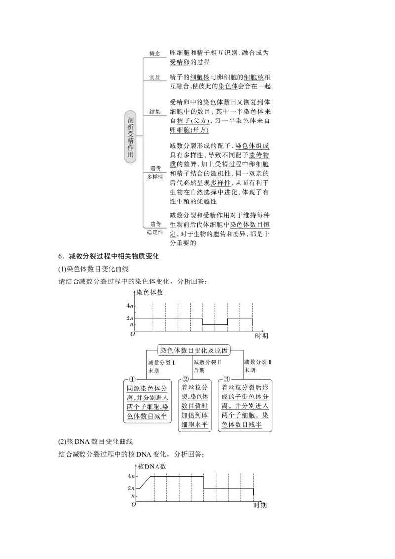 2023年高考生物一轮复习（新人教新高考）第4单元第3课时　减数分裂和受精作用的过程分析_新高考复习资料_2023年新高考复习资料_一轮复习_2023年新高考大一轮复习讲义