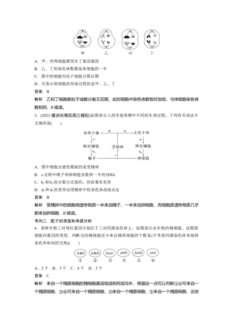 2023年高考生物一轮复习（新人教新高考）第4单元第3课时　减数分裂和受精作用的过程分析_新高考复习资料_2023年新高考复习资料_一轮复习_2023年新高考大一轮复习讲义