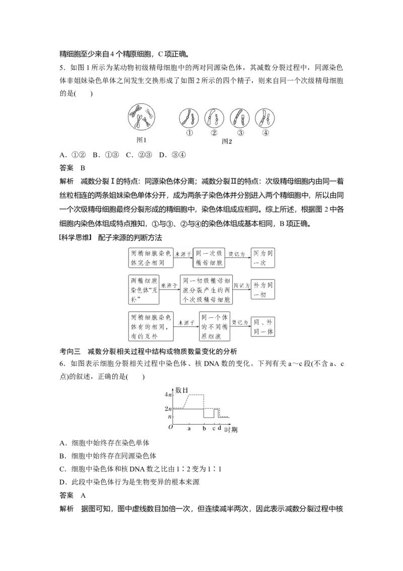 2023年高考生物一轮复习（新人教新高考）第4单元第3课时　减数分裂和受精作用的过程分析_新高考复习资料_2023年新高考复习资料_一轮复习_2023年新高考大一轮复习讲义