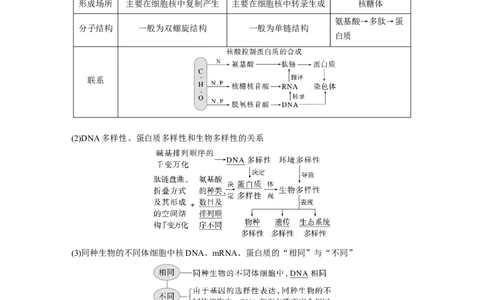 2023年高考生物一轮复习（新人教新高考）第1单元第4课时　核酸是遗传信息的携带者_新高考复习资料_2023年新高考复习资料_一轮复习_2023年新高考大一轮复习讲义