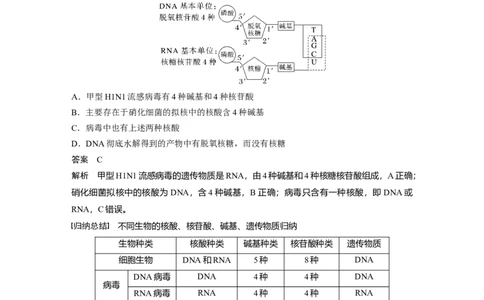 2023年高考生物一轮复习（新人教新高考）第1单元第4课时　核酸是遗传信息的携带者_新高考复习资料_2023年新高考复习资料_一轮复习_2023年新高考大一轮复习讲义