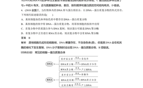 2023年高考生物一轮复习（新人教新高考）第1单元第4课时　核酸是遗传信息的携带者_新高考复习资料_2023年新高考复习资料_一轮复习_2023年新高考大一轮复习讲义