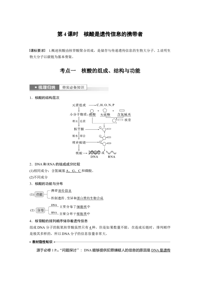 2023年高考生物一轮复习（新人教新高考）第1单元第4课时　核酸是遗传信息的携带者_新高考复习资料_2023年新高考复习资料_一轮复习_2023年新高考大一轮复习讲义