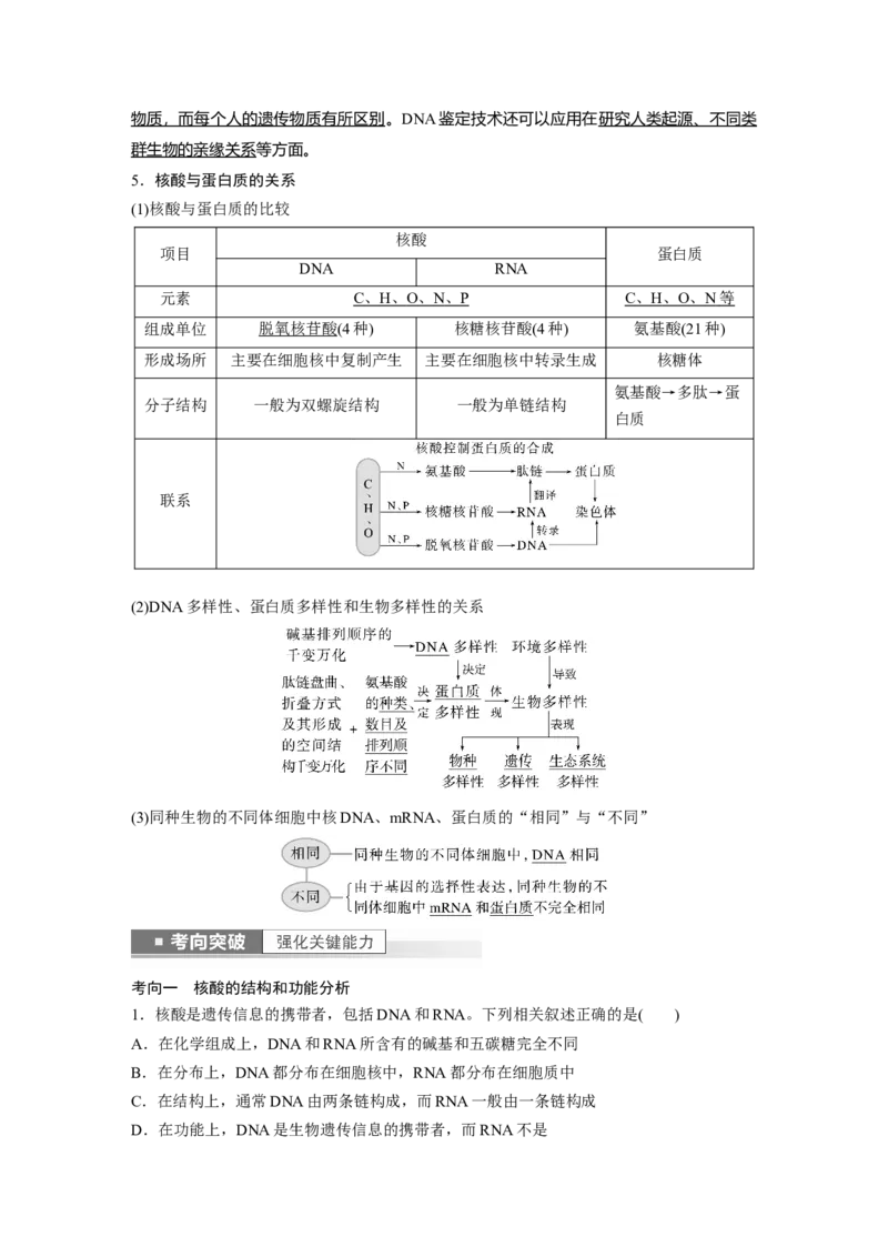 2023年高考生物一轮复习（新人教新高考）第1单元第4课时　核酸是遗传信息的携带者_新高考复习资料_2023年新高考复习资料_一轮复习_2023年新高考大一轮复习讲义