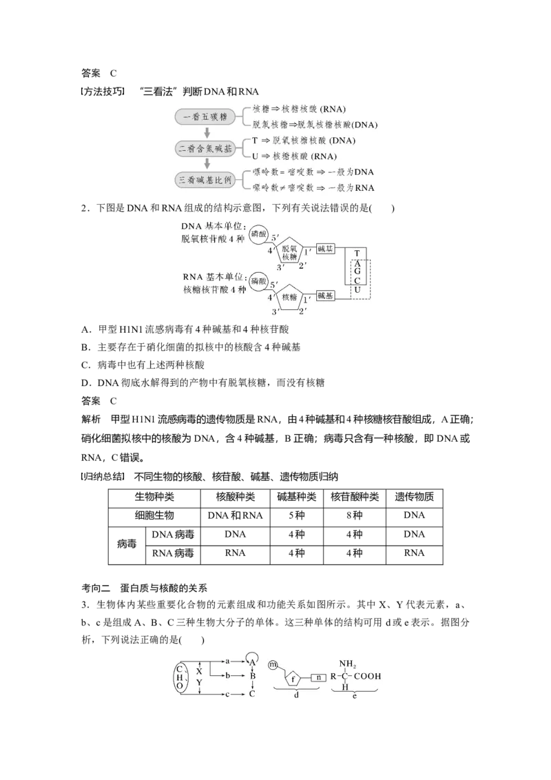 2023年高考生物一轮复习（新人教新高考）第1单元第4课时　核酸是遗传信息的携带者_新高考复习资料_2023年新高考复习资料_一轮复习_2023年新高考大一轮复习讲义