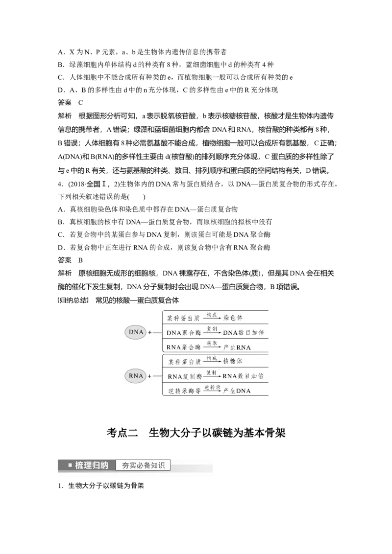 2023年高考生物一轮复习（新人教新高考）第1单元第4课时　核酸是遗传信息的携带者_新高考复习资料_2023年新高考复习资料_一轮复习_2023年新高考大一轮复习讲义