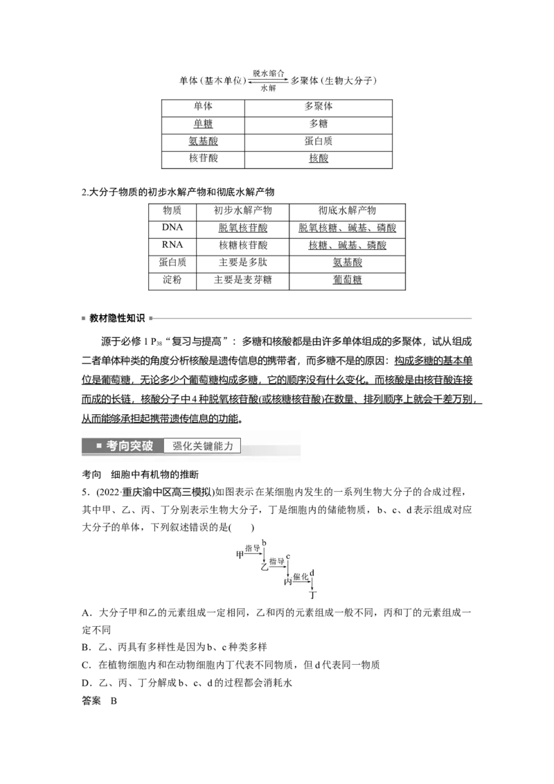 2023年高考生物一轮复习（新人教新高考）第1单元第4课时　核酸是遗传信息的携带者_新高考复习资料_2023年新高考复习资料_一轮复习_2023年新高考大一轮复习讲义