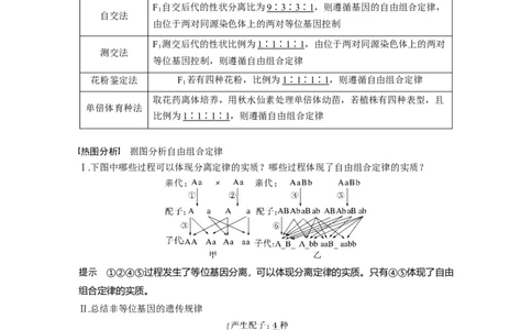 2023年高考生物一轮复习（新人教新高考）第5单元第3课时　自由组合定律的发现及应用_新高考复习资料_2023年新高考复习资料_一轮复习_2023年新高考大一轮复习讲义
