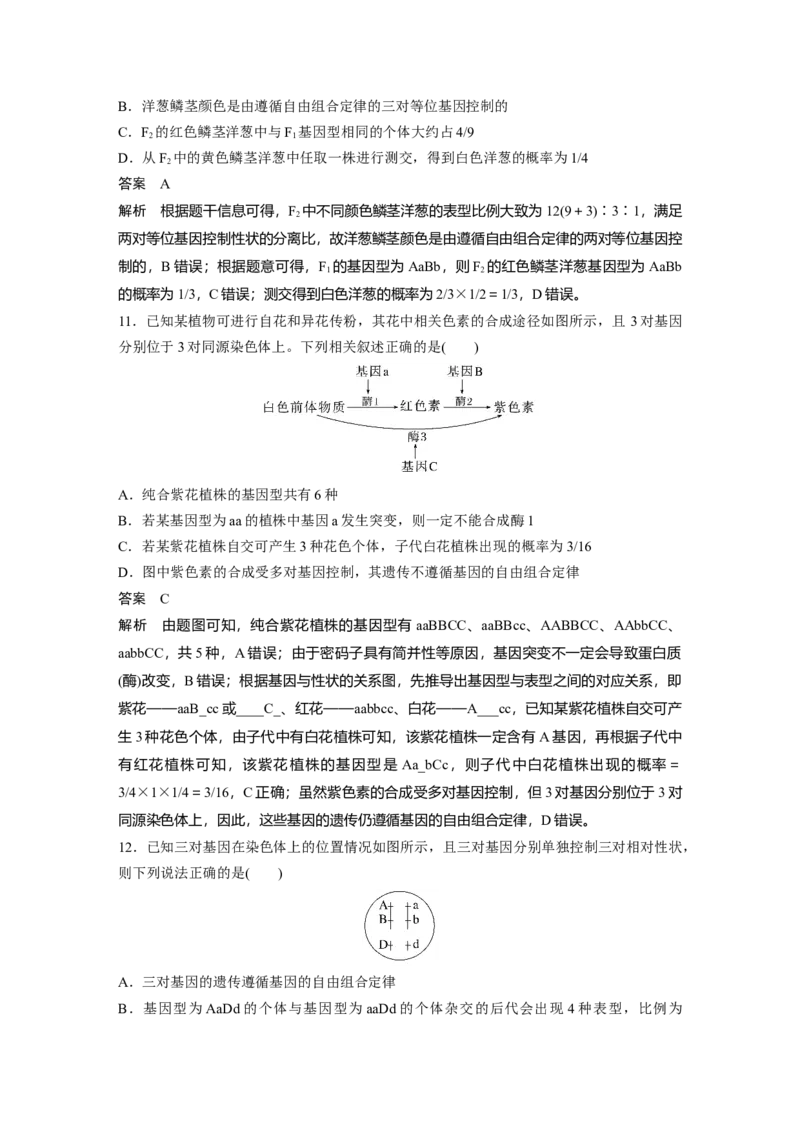 2023年高考生物一轮复习（新人教新高考）第5单元第3课时　自由组合定律的发现及应用_新高考复习资料_2023年新高考复习资料_一轮复习_2023年新高考大一轮复习讲义