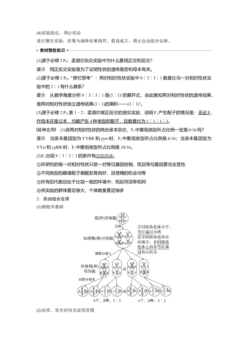 2023年高考生物一轮复习（新人教新高考）第5单元第3课时　自由组合定律的发现及应用_新高考复习资料_2023年新高考复习资料_一轮复习_2023年新高考大一轮复习讲义