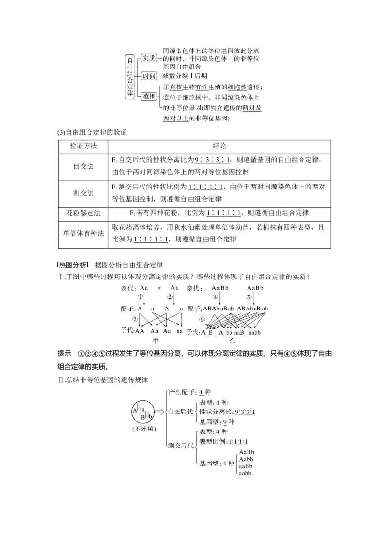2023年高考生物一轮复习（新人教新高考）第5单元第3课时　自由组合定律的发现及应用_新高考复习资料_2023年新高考复习资料_一轮复习_2023年新高考大一轮复习讲义