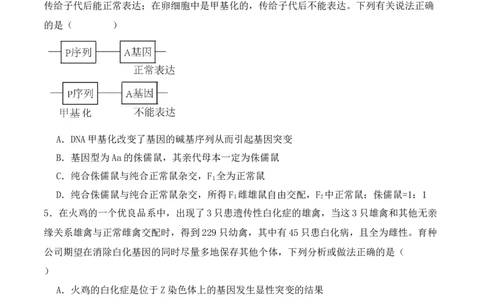 第07讲基因的分离定律和自由组合定律（练习）（原卷版）_2024年新高考资料_2.2024二轮复习_2024年高考生物二轮复习讲练测（新教材新高考）