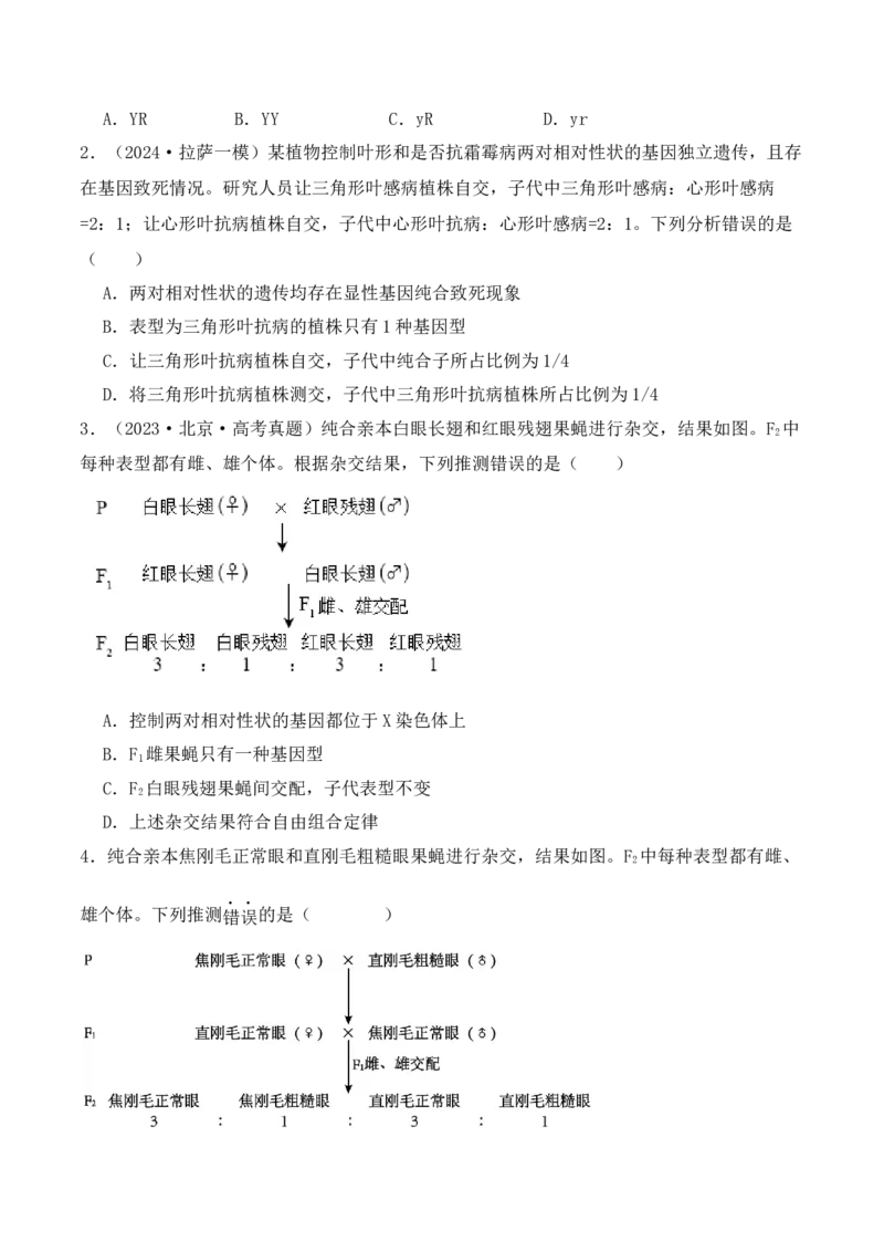 第07讲基因的分离定律和自由组合定律（练习）（原卷版）_2024年新高考资料_2.2024二轮复习_2024年高考生物二轮复习讲练测（新教材新高考）