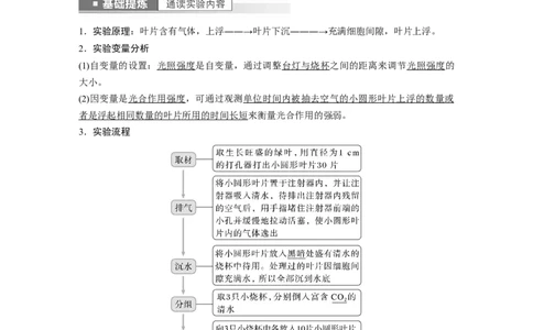 2023年高考生物一轮复习（全国版）第3单元第7课时　光合作用的影响因素及其应用_通用版（老高考）复习资料_2023年复习资料_一轮复习_2023年高考生物一轮复习讲义+课件（全国版）
