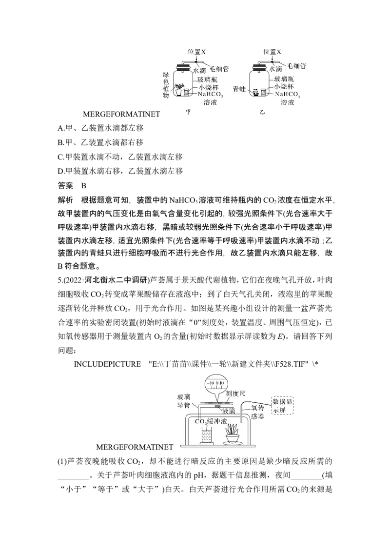 热点微练6&ldquo;液滴移动法&rdquo;测定细胞呼吸与光合速率(尖子生特训)_2024年新高考资料_1.2024一轮复习_2024年高考生物一轮复习讲义（新人教版）_另附1套Word版题库_必修1