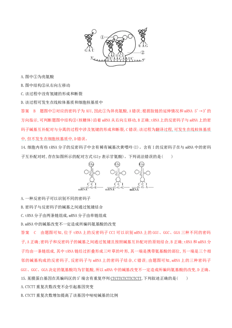 押题点10遗传的分子基础（解析版）_2024年新高考资料_5.2024三轮冲刺_备战2024年高考生物临考题号押题（辽宁、黑龙江、吉林专用）322857720