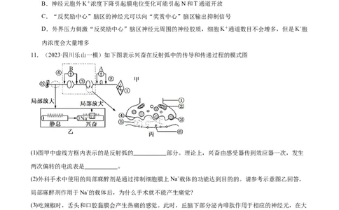 第11讲神经调节和体液调节（练习）（原卷版）_2024年新高考资料_2.2024二轮复习_2024年高考生物二轮复习讲练测（新教材新高考）