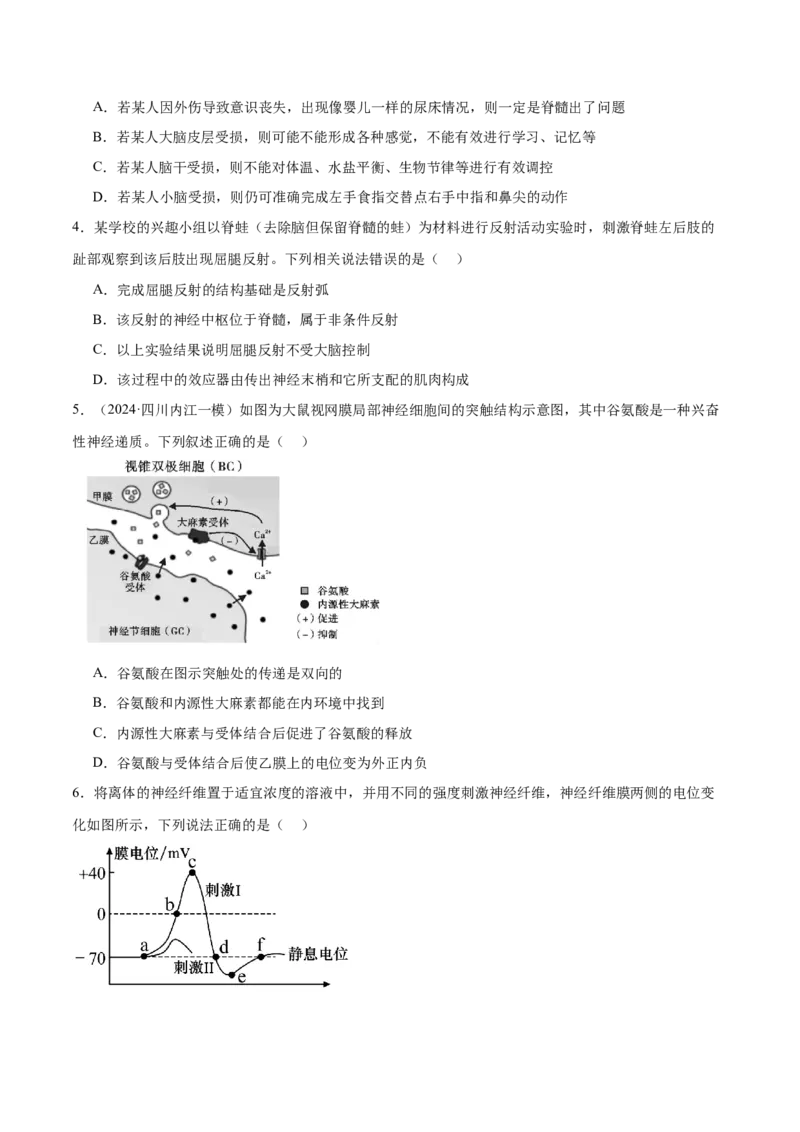 第11讲神经调节和体液调节（练习）（原卷版）_2024年新高考资料_2.2024二轮复习_2024年高考生物二轮复习讲练测（新教材新高考）