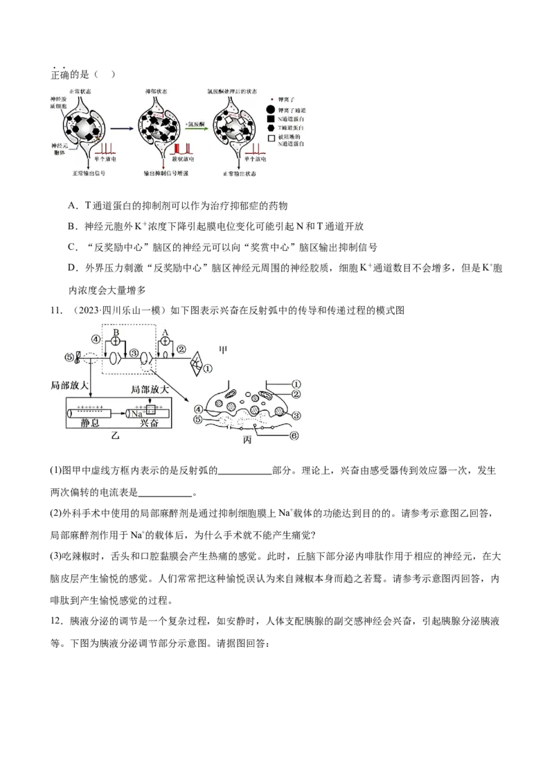 第11讲神经调节和体液调节（练习）（原卷版）_2024年新高考资料_2.2024二轮复习_2024年高考生物二轮复习讲练测（新教材新高考）