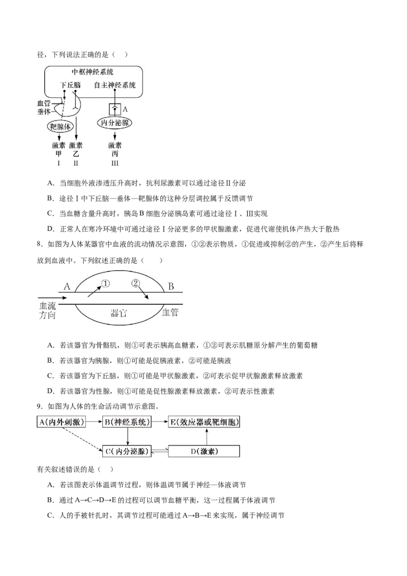 第11讲神经调节和体液调节（练习）（原卷版）_2024年新高考资料_2.2024二轮复习_2024年高考生物二轮复习讲练测（新教材新高考）
