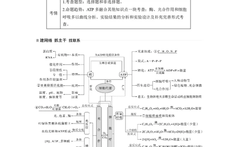 2023年高考生物二轮复习（全国版）第1篇专题突破专题2考点1　细胞内的能量通货&mdash;&mdash;ATP_通用版（老高考）复习资料_2023年复习资料_二轮复习_2023年高考生物二轮复习讲义+课件（全国版）