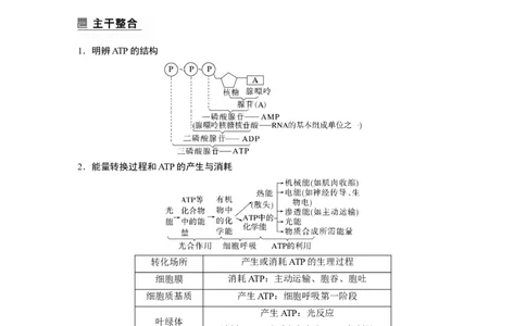 2023年高考生物二轮复习（全国版）第1篇专题突破专题2考点1　细胞内的能量通货&mdash;&mdash;ATP_通用版（老高考）复习资料_2023年复习资料_二轮复习_2023年高考生物二轮复习讲义+课件（全国版）