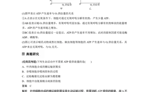 2023年高考生物二轮复习（全国版）第1篇专题突破专题2考点1　细胞内的能量通货&mdash;&mdash;ATP_通用版（老高考）复习资料_2023年复习资料_二轮复习_2023年高考生物二轮复习讲义+课件（全国版）